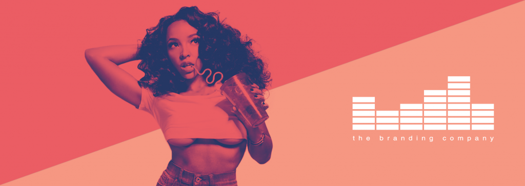 BRANDY rebrands WILLY with bold guitars